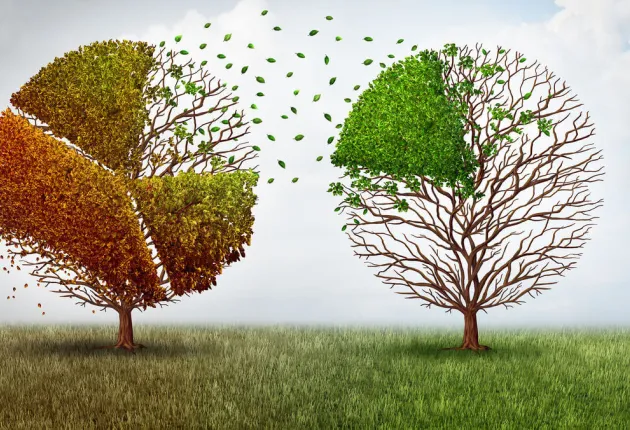 Native Advertising 2019 and Beyond