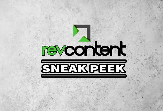 Who are Top Advertisers and Publishers on Revcontent?