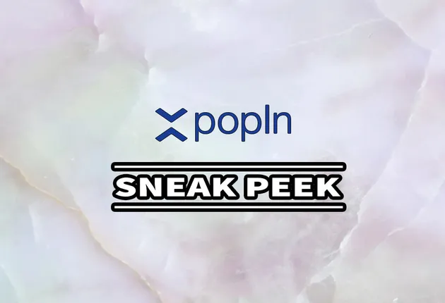 Who are Top Advertisers and Publishers on Popin Native Ad Network?