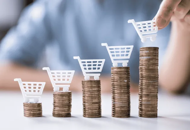 Как я заработал 100 000 долларов в первый год на Shopify (и вы тоже можете!)