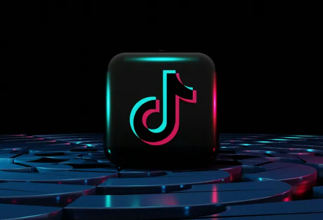 Влияние TikTok на малый бизнес: анализ модели соответствия задачи и технологии
