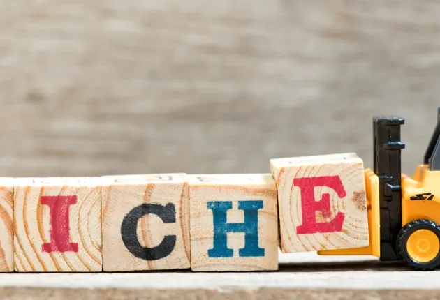 Affiliate Marketing Technique: The Niche Focus