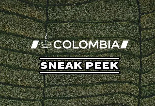 Who are Top Advertisers and Publishers on Colombia?