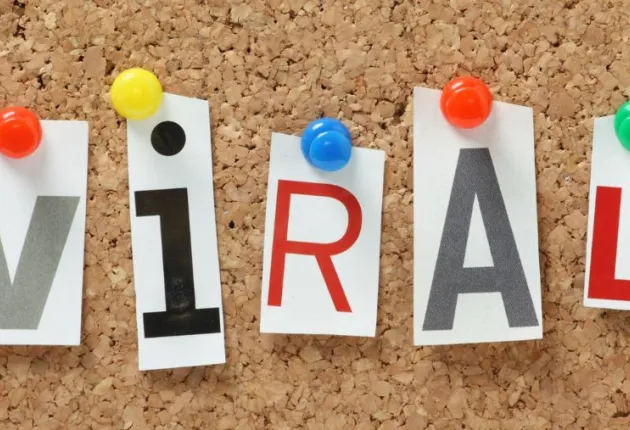 Стоил ли TikTok эксперимент с вирусной рекламой миллионы?